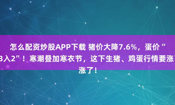 怎么配资炒股APP下载 猪价大降7.6%，蛋价“破3入2”！寒潮叠加寒衣节，这下生猪、鸡蛋行情要涨了！