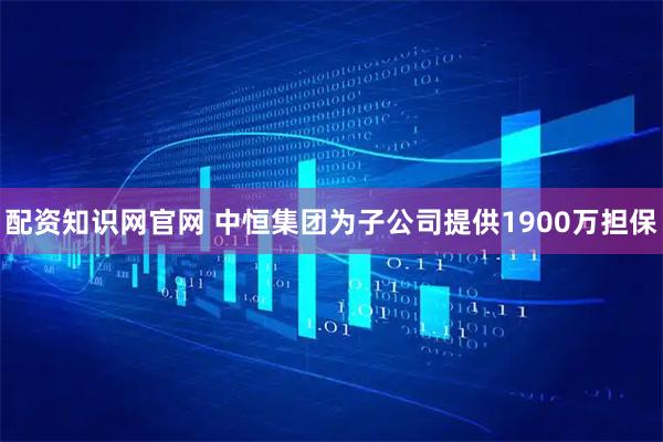 配资知识网官网 中恒集团为子公司提供1900万担保